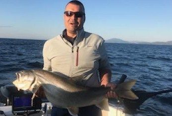 A man is holding a large fish on a boat in the ocean.