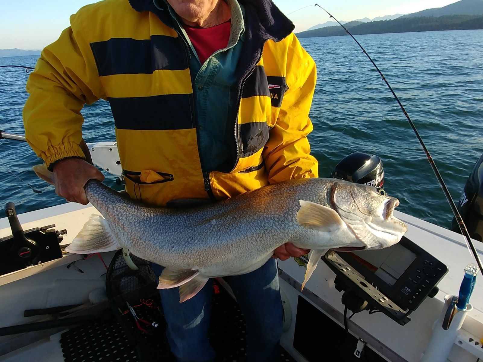 A man in a yellow jacket is holding a large fish on a boat