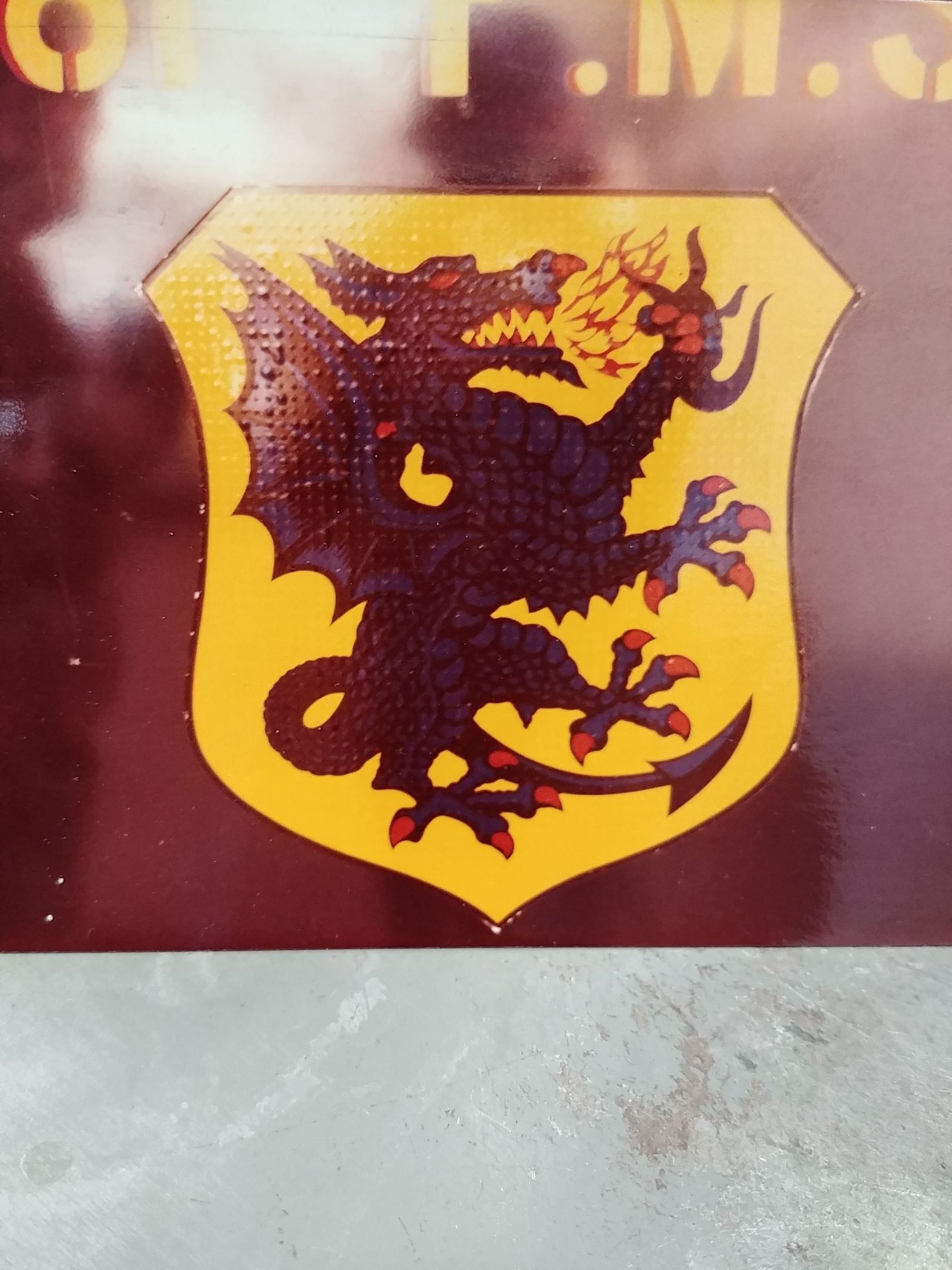A yellow shield with a black dragon on it