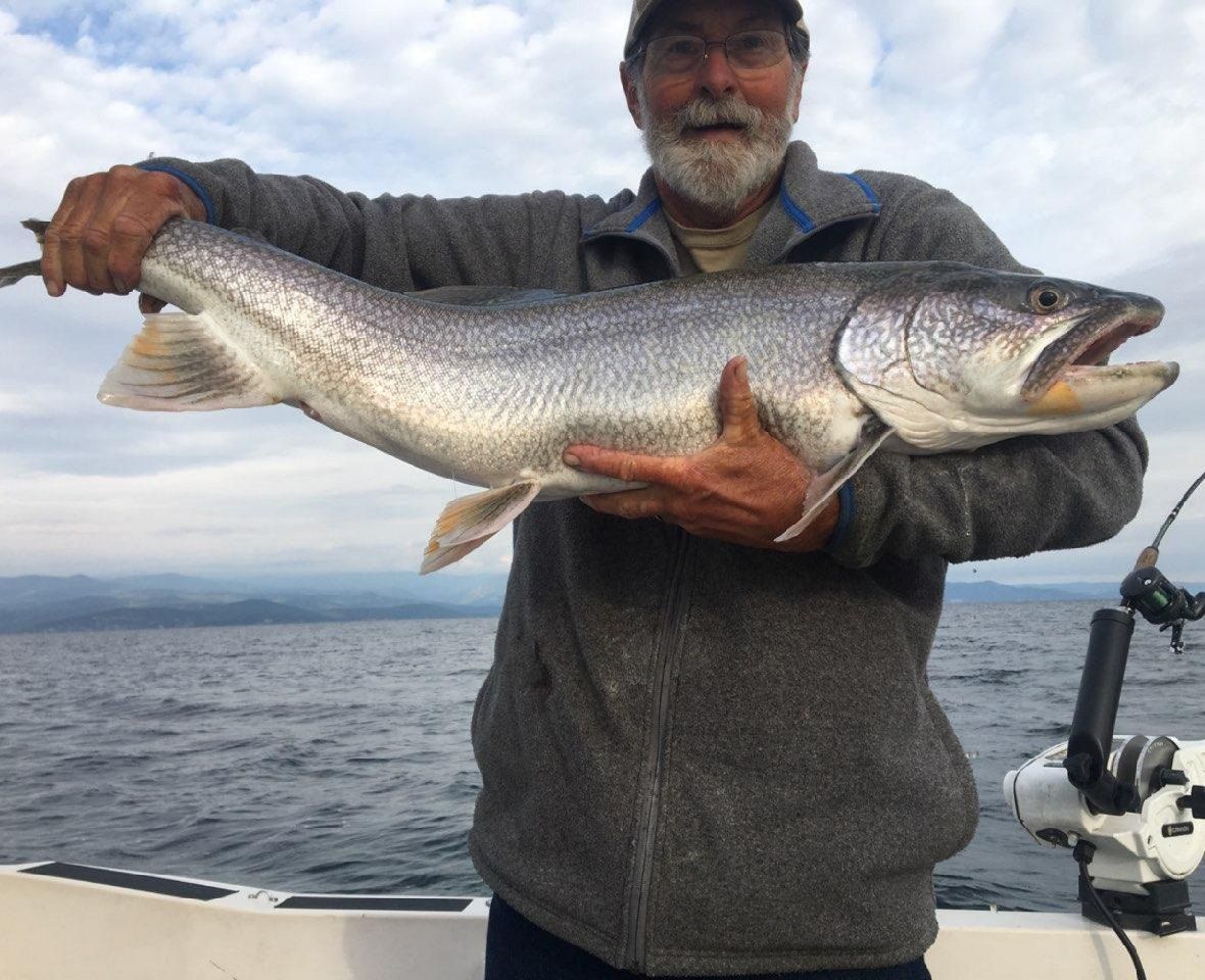 A man is holding a large fish in his hands on a boat.