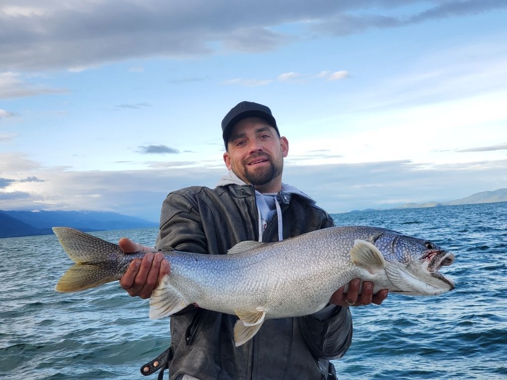 A man is holding a large fish in his hands in the water.