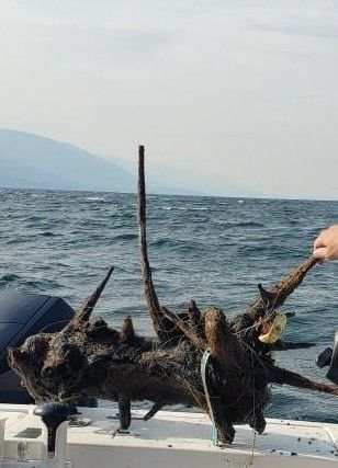 A person is holding a piece of wood on a boat in the ocean.