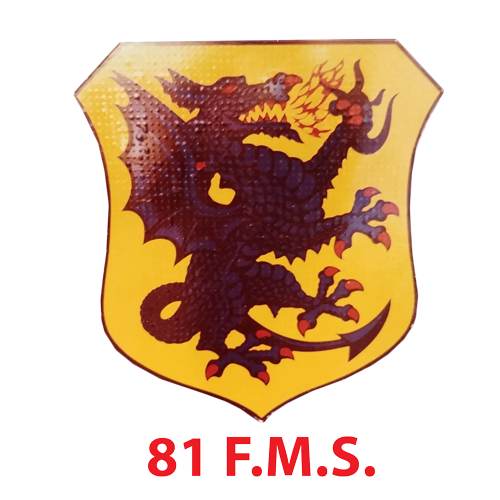 A yellow shield with a red dragon and the words 81 f.m.s. below it