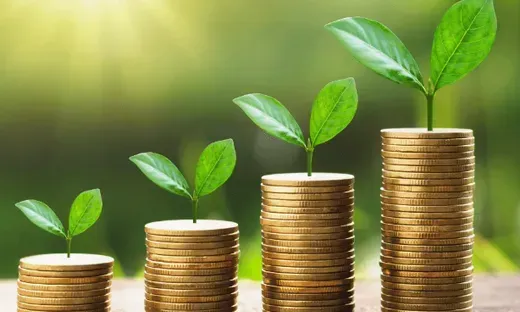 a stack of coins with plants growing out of them