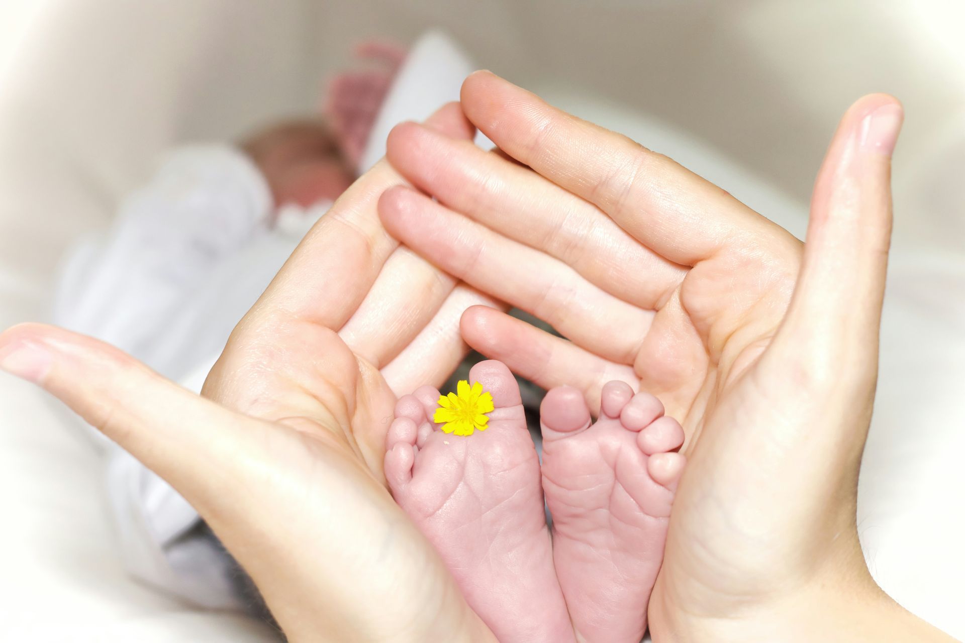Heartfelt guide on the power of choosing life for personal growth