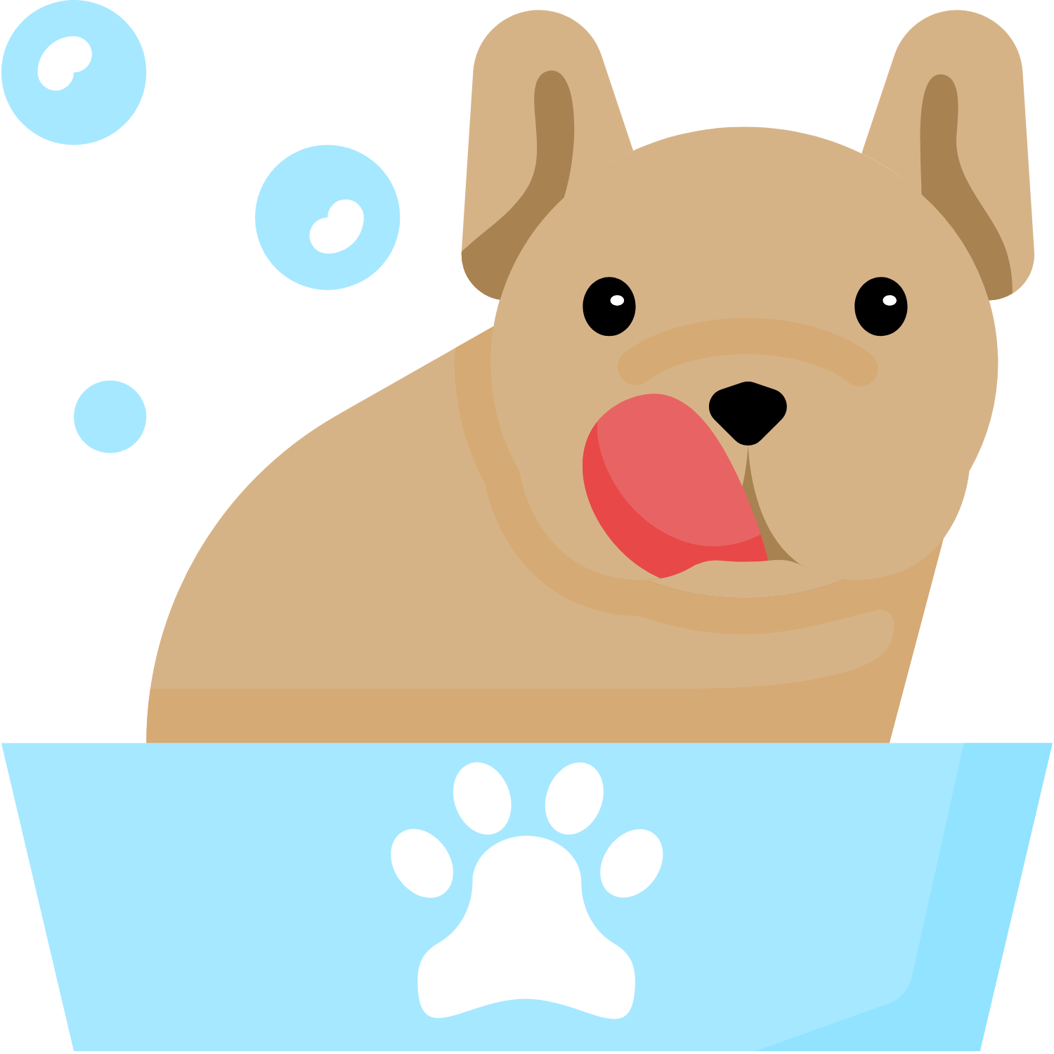 Dog Groomer | Castaic, CA | (661) 257-0695