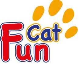 Fun Cat