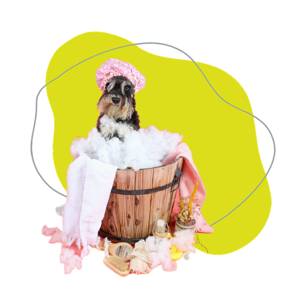 Un cane con un cappello rosa e un collare soffice seduto in un cesto di legno su uno sfondo giallo brillante.