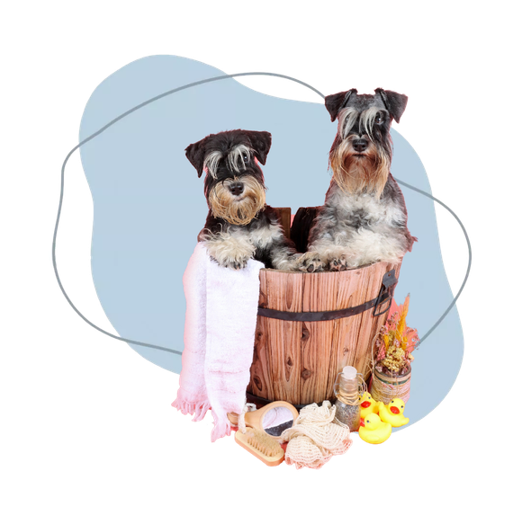 Due cani seduti in un secchio di legno con decorazioni autunnali e sfondo pastello