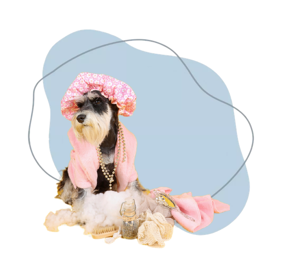 Cane con cappellino e sciarpa rosa, seduto su uno sfondo bianco astratto azzurro pallido.