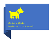 Logo Moda x coda