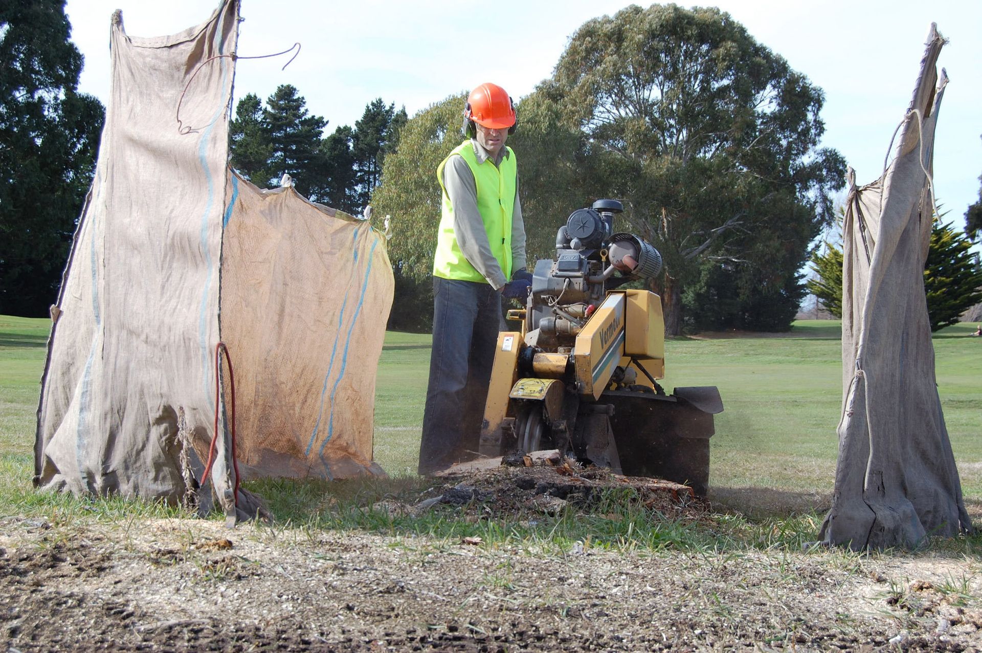 Expert clearing stump by using grinding machine 