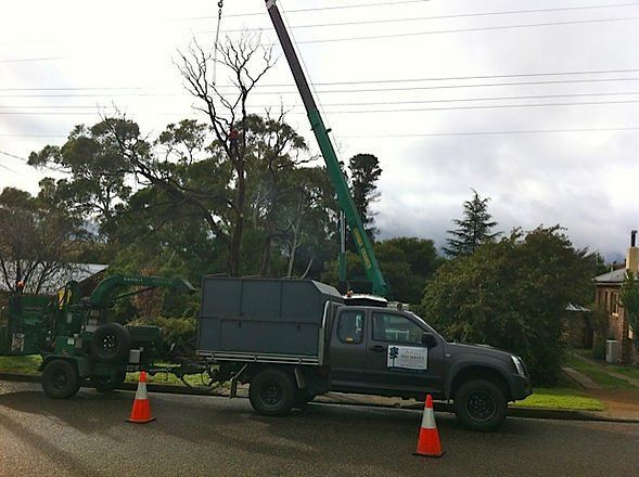Tree Removal Service Car — Cooma, NSW — Snowy Mountain Tree Services