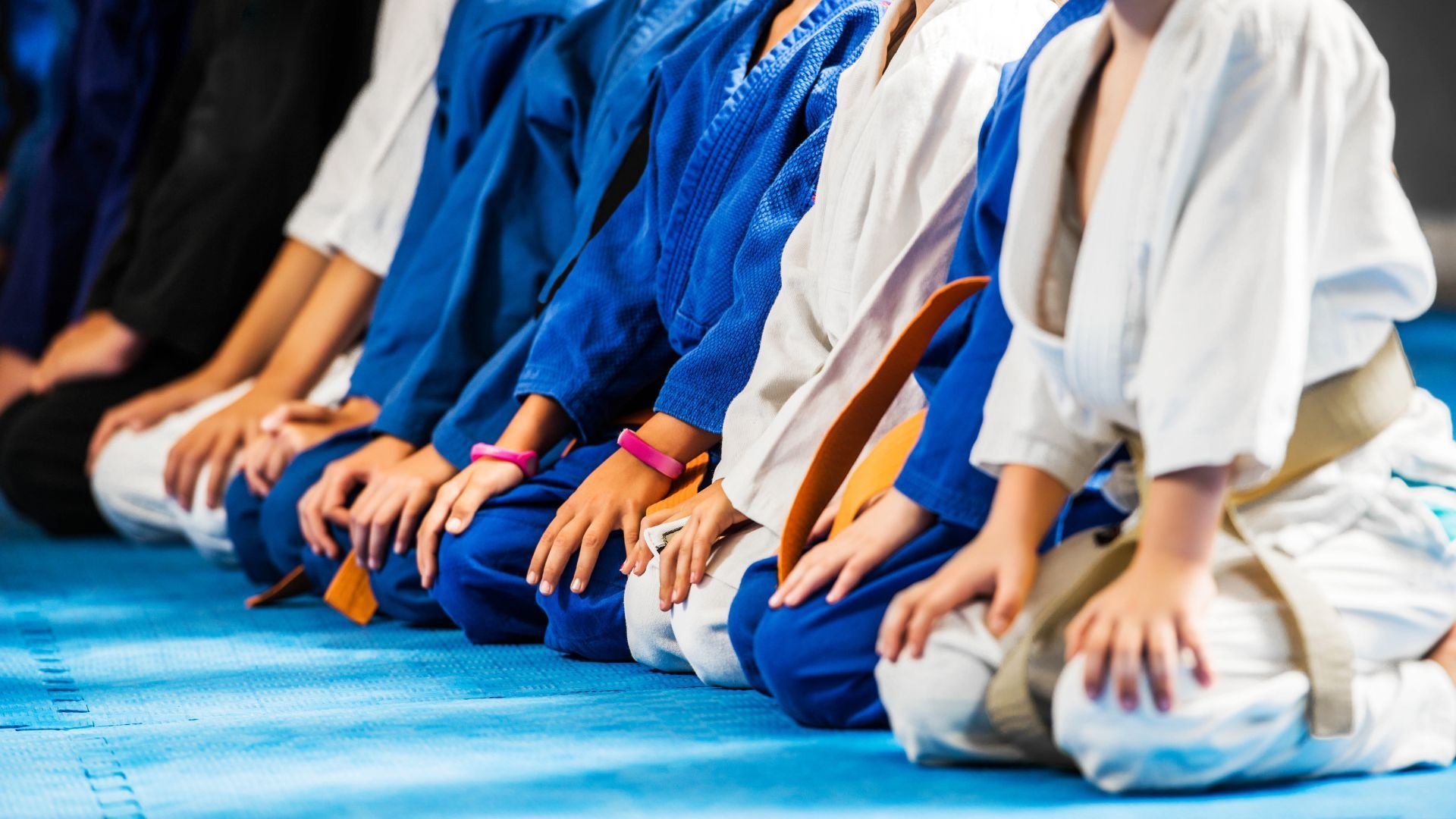 A group of people in karate uniforms are kneeling on the floor.