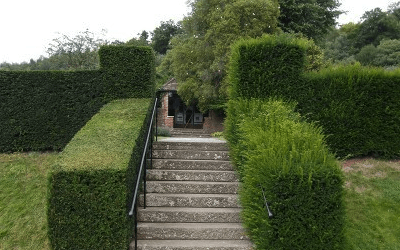 hedge cutting services offered for hedges near stairs