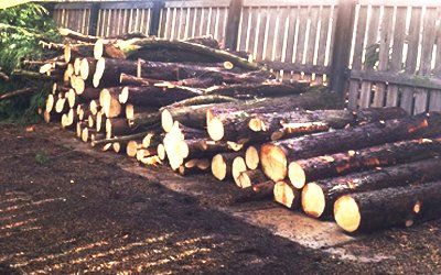 high-quality firewood supplied for fireplaces