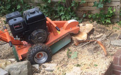 stump removal machine used to remove the tree stump