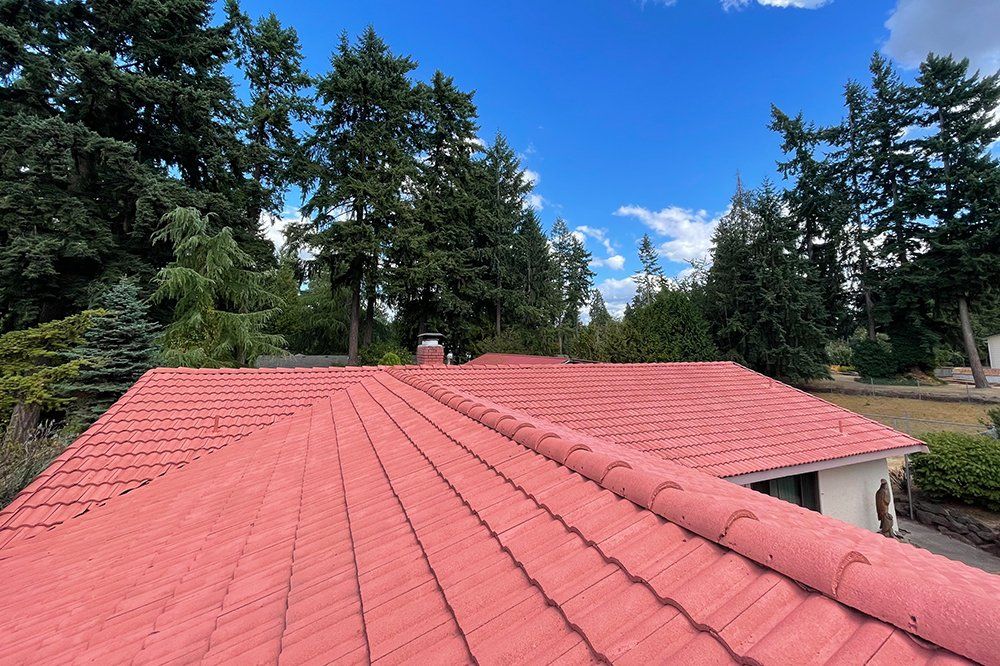 Residential Roof — Olympia, WA — Painting Plus LLC