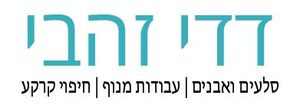 דדי זהבי