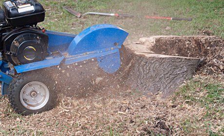 stump removal in Aberlour