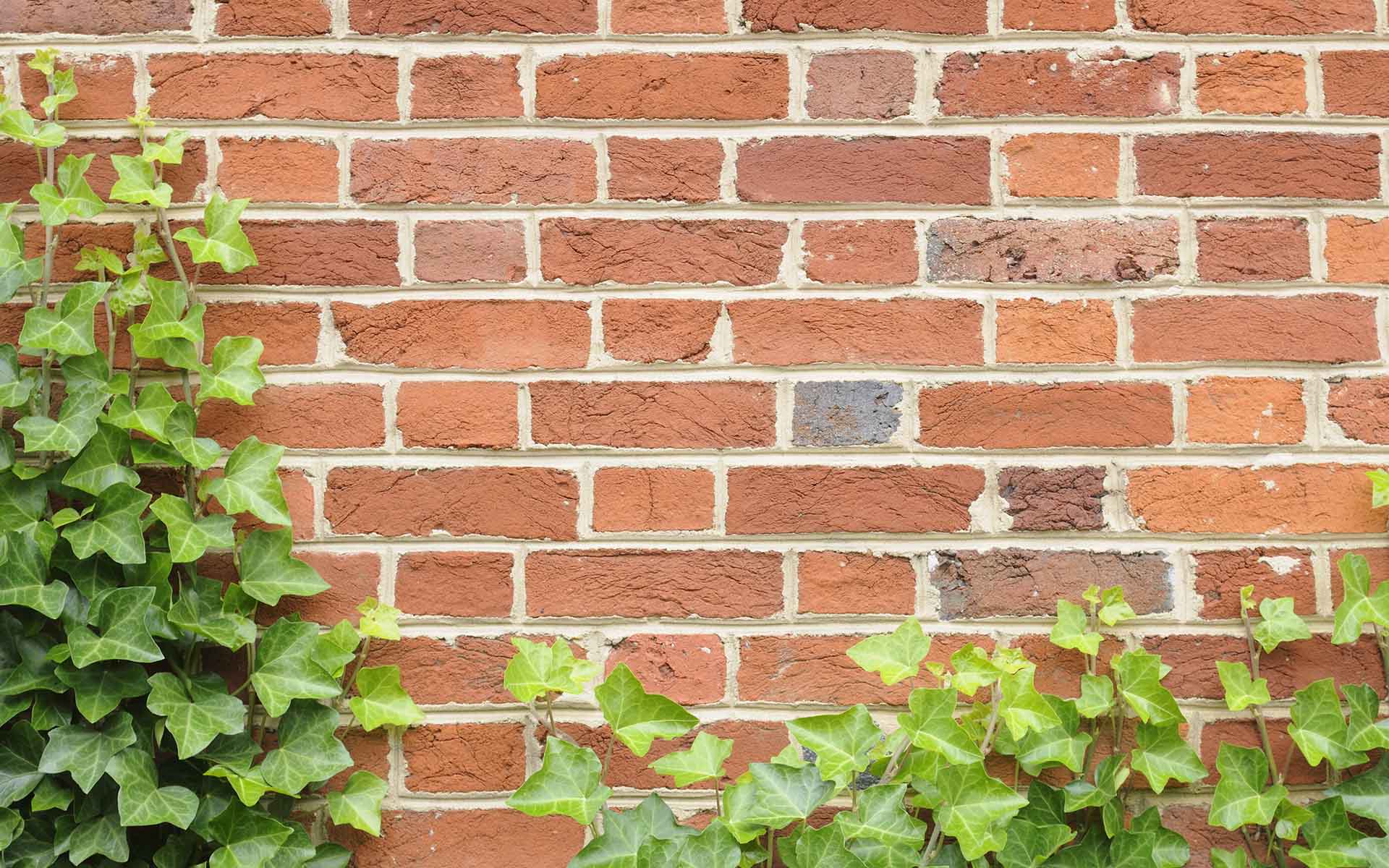 brick wall