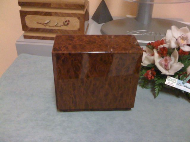 cremazione servizio a Verbania