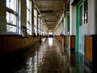 Schools