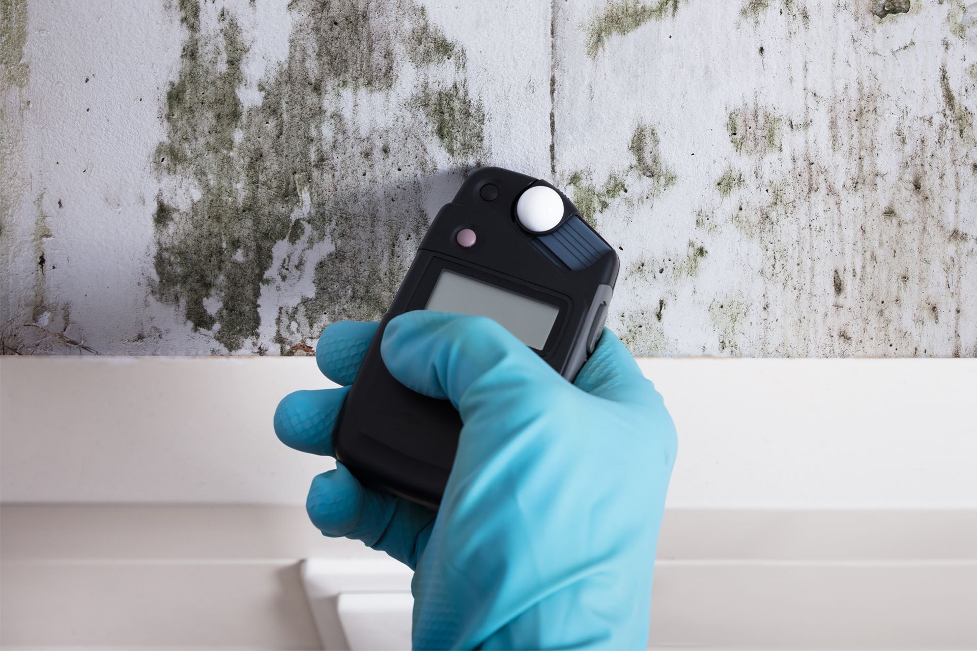 Gloved hand holding a moisture meter against a moldy wall.