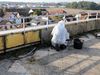 Asbestos Testing and Reports