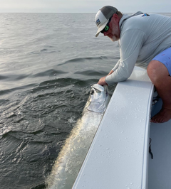 Man on a boat holds a large, silver fish with a lure in its mouth; blue sky in the background.