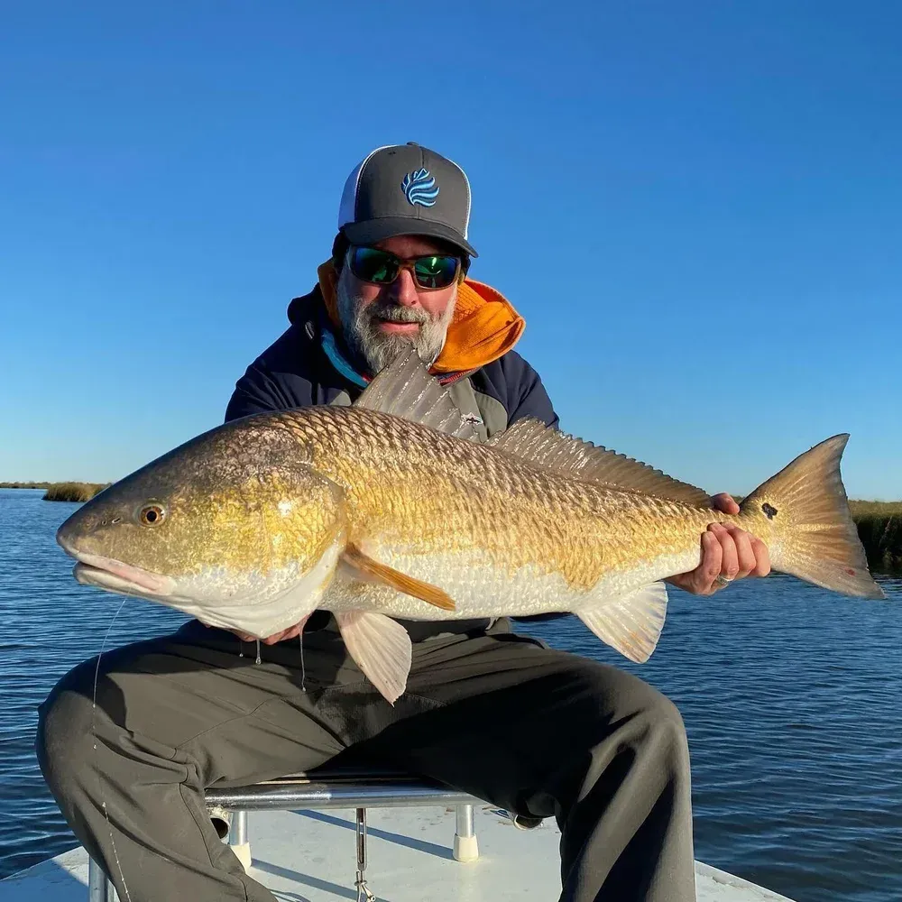 Man seated in boat holding a large redfish, blue sky and marsh in background.