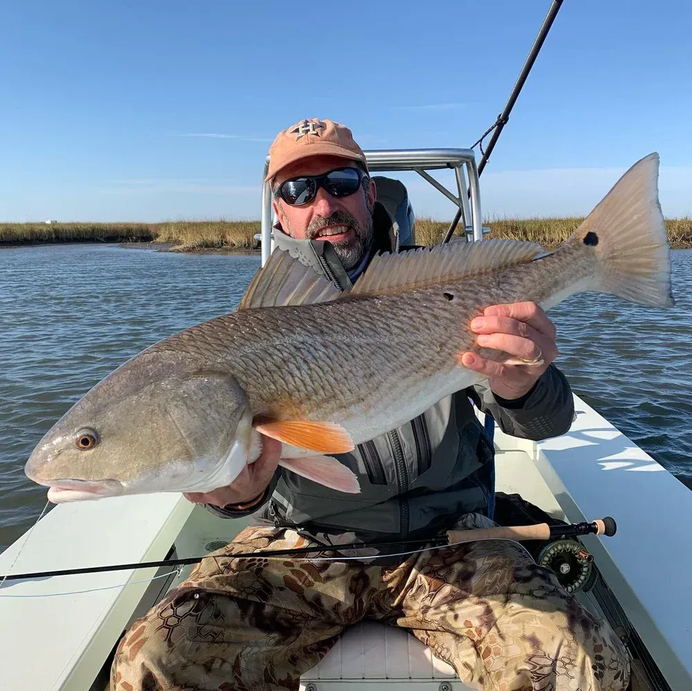 Man on a boat holding a large redfish. Blue sky, brown marsh background.