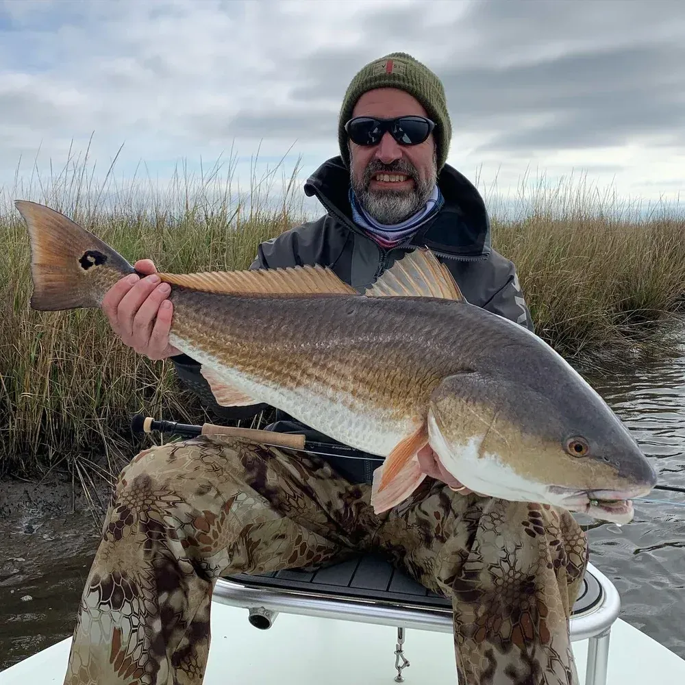 Man holding a large redfish, caught while fishing from a boat, in a marsh environment.