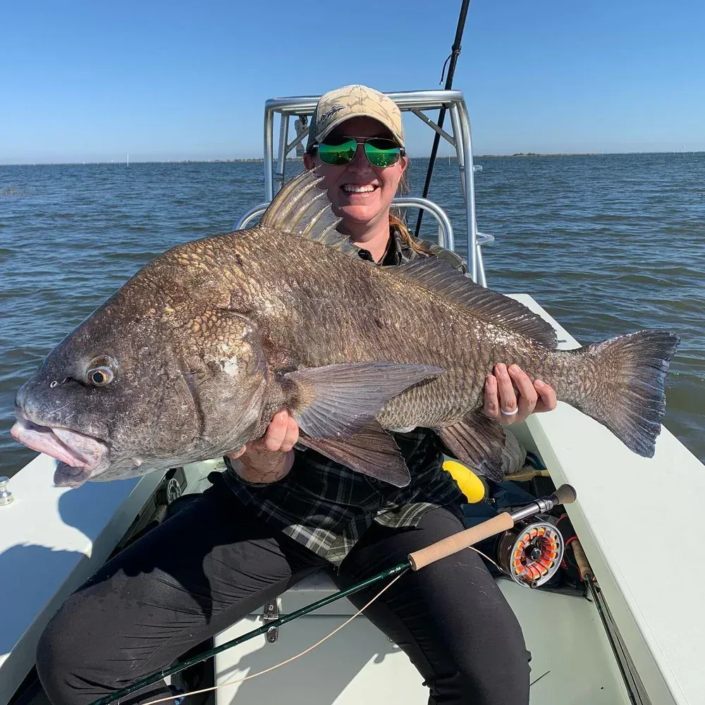 Woman in boat holding large black drum fish; sunny day.