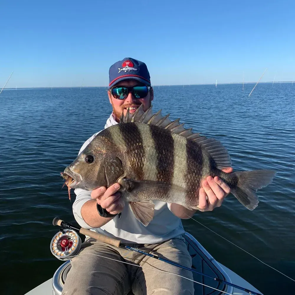 Man in boat holding striped fish; water, blue sky.