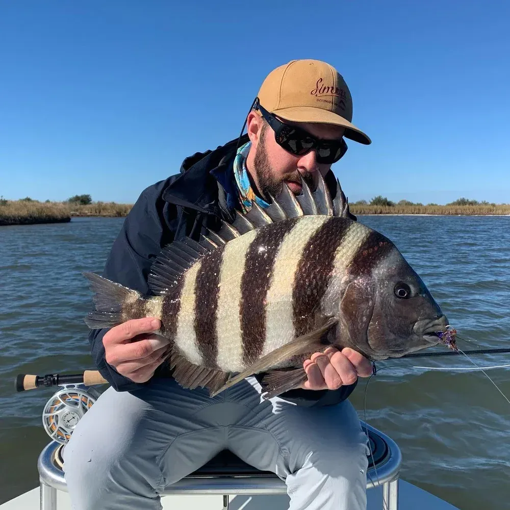 Man holding a striped sheepshead fish on a boat, blue water and sky.
