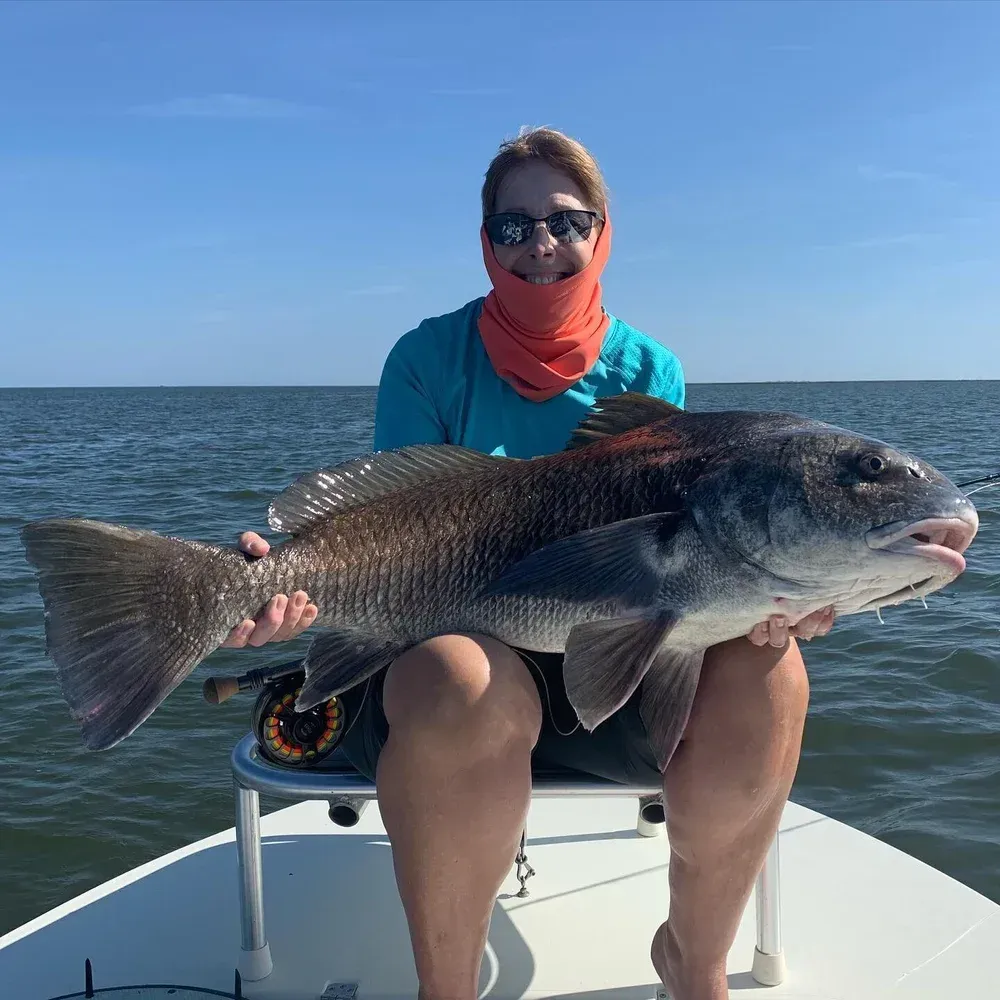 Person on a boat holds a large black drum fish. Outdoors on a sunny day, ocean in the background.