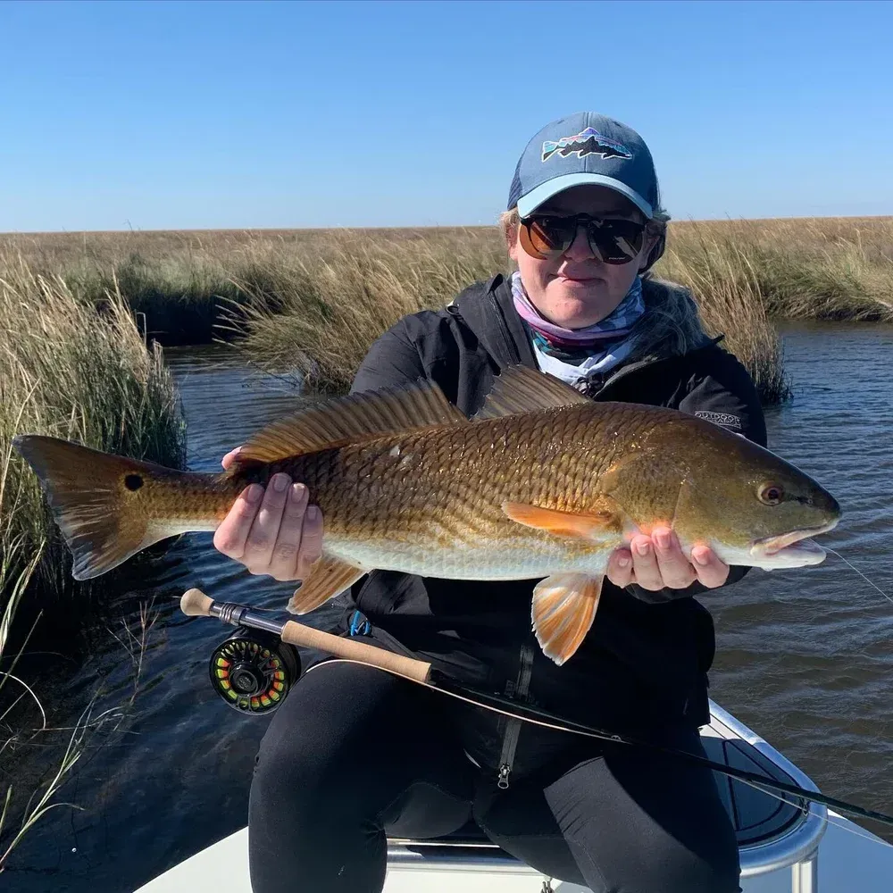 Woman holding a large redfish caught on a fly rod in a marsh, sunny day.
