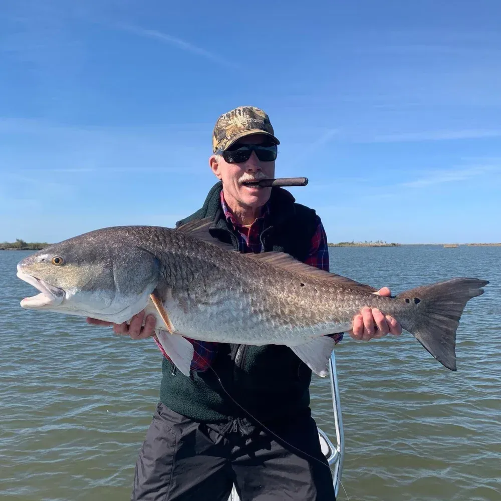 Man on boat holding large redfish, smiling, cigar in mouth; sunny day on water.