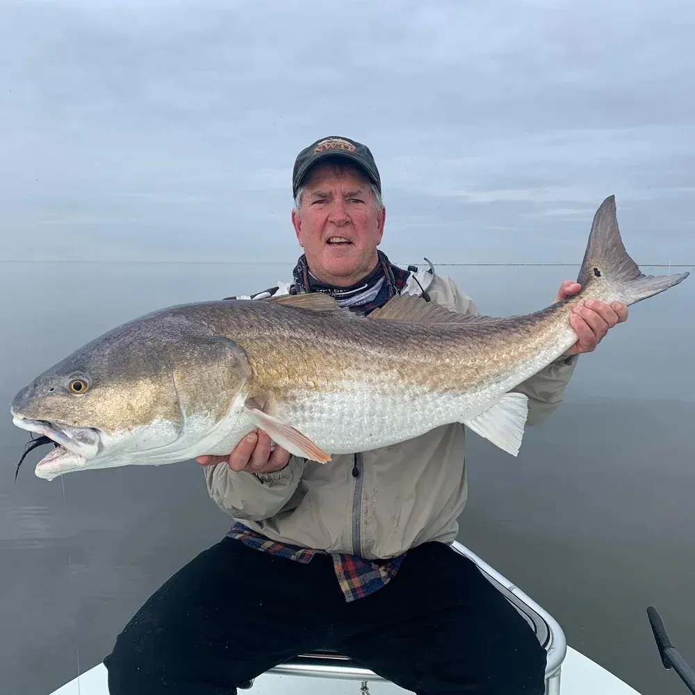 Man seated in boat, holding a large redfish. Cloudy day; fish is reddish-brown and white.