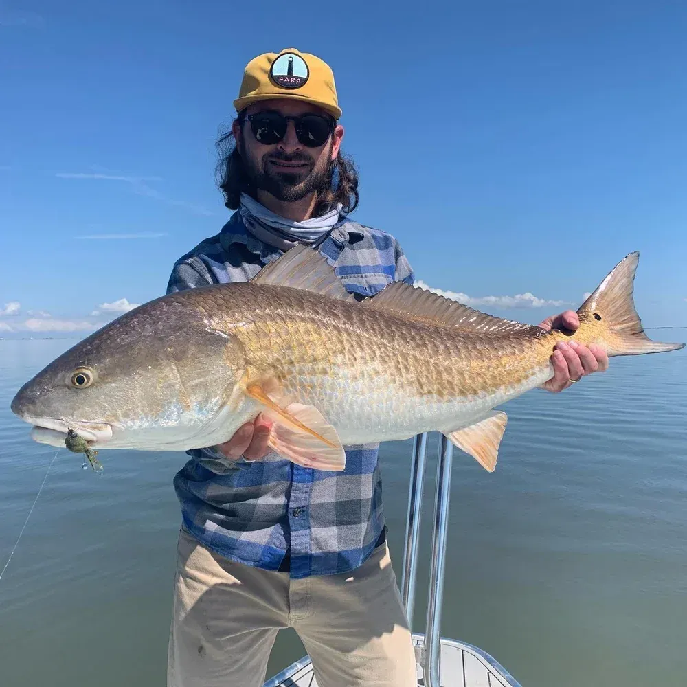 Man holding a large redfish on a boat in sunny weather; blue sky.