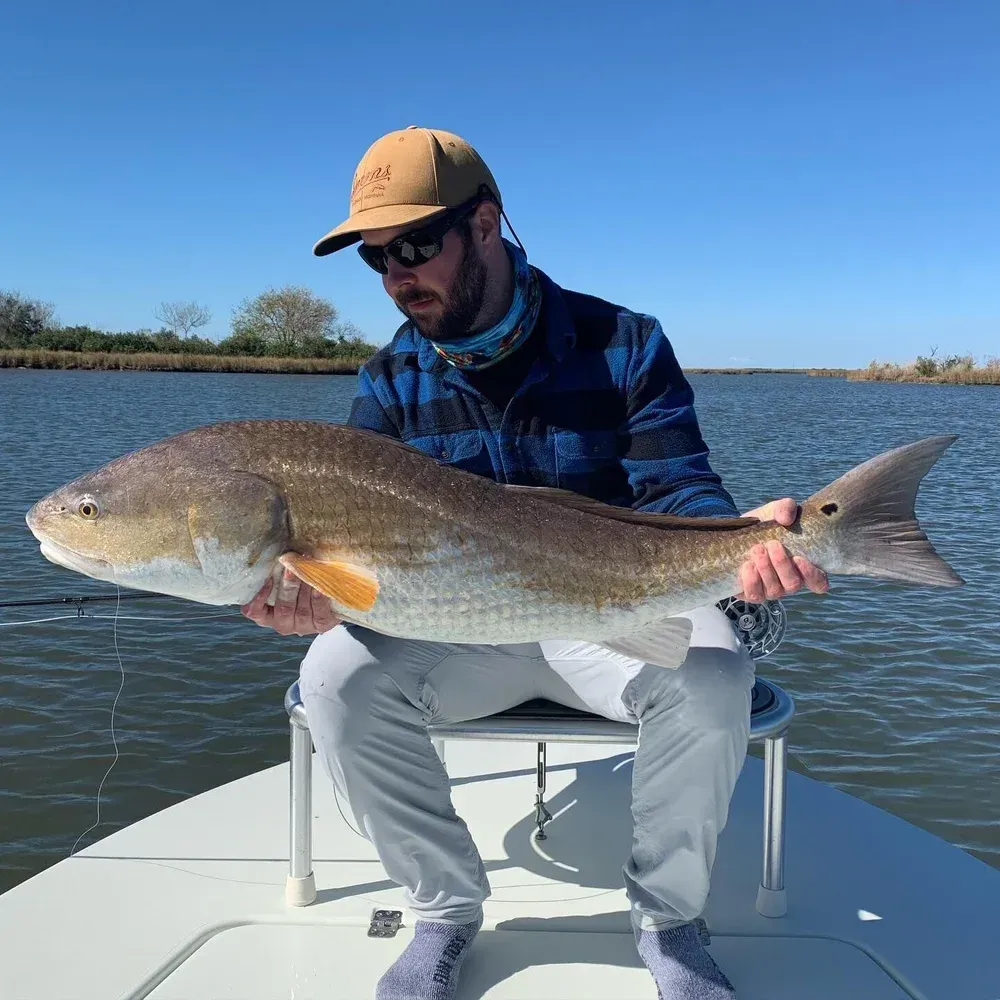Man on boat holds up large redfish in sunny waters.