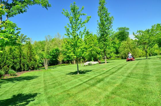 Man on a riding mower in a very large yard.