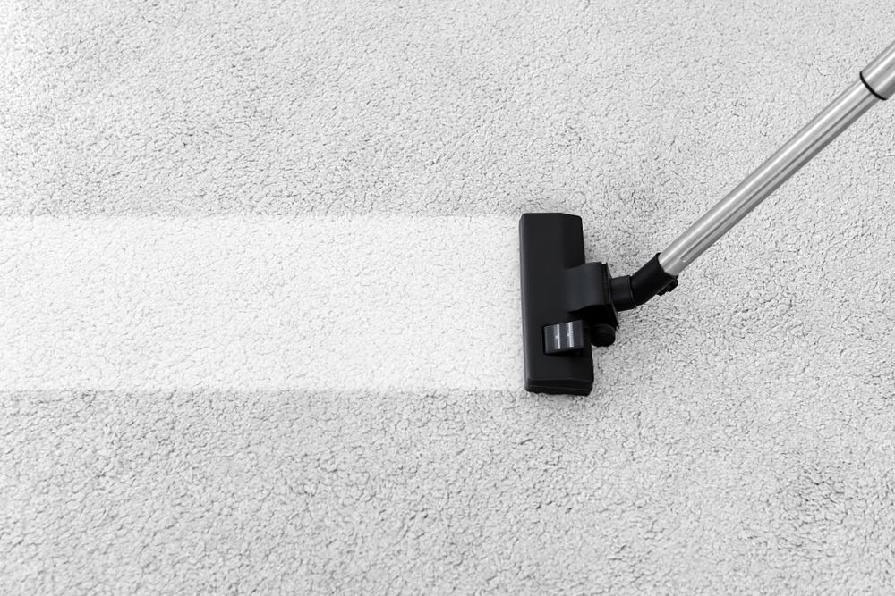 Vacuum Cleaner Cleaning a White Carpet, Leaving a Clean Stripe — Enviro Clean Carpet and Tile Cleaning in Woy Woy, NSW