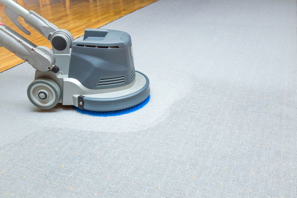 A carpet cleaning machine in action, scrubbing a light-colored carpet near a hardwood floor — Enviro Clean Carpet and Tile Cleaning in Wyong, NSW
