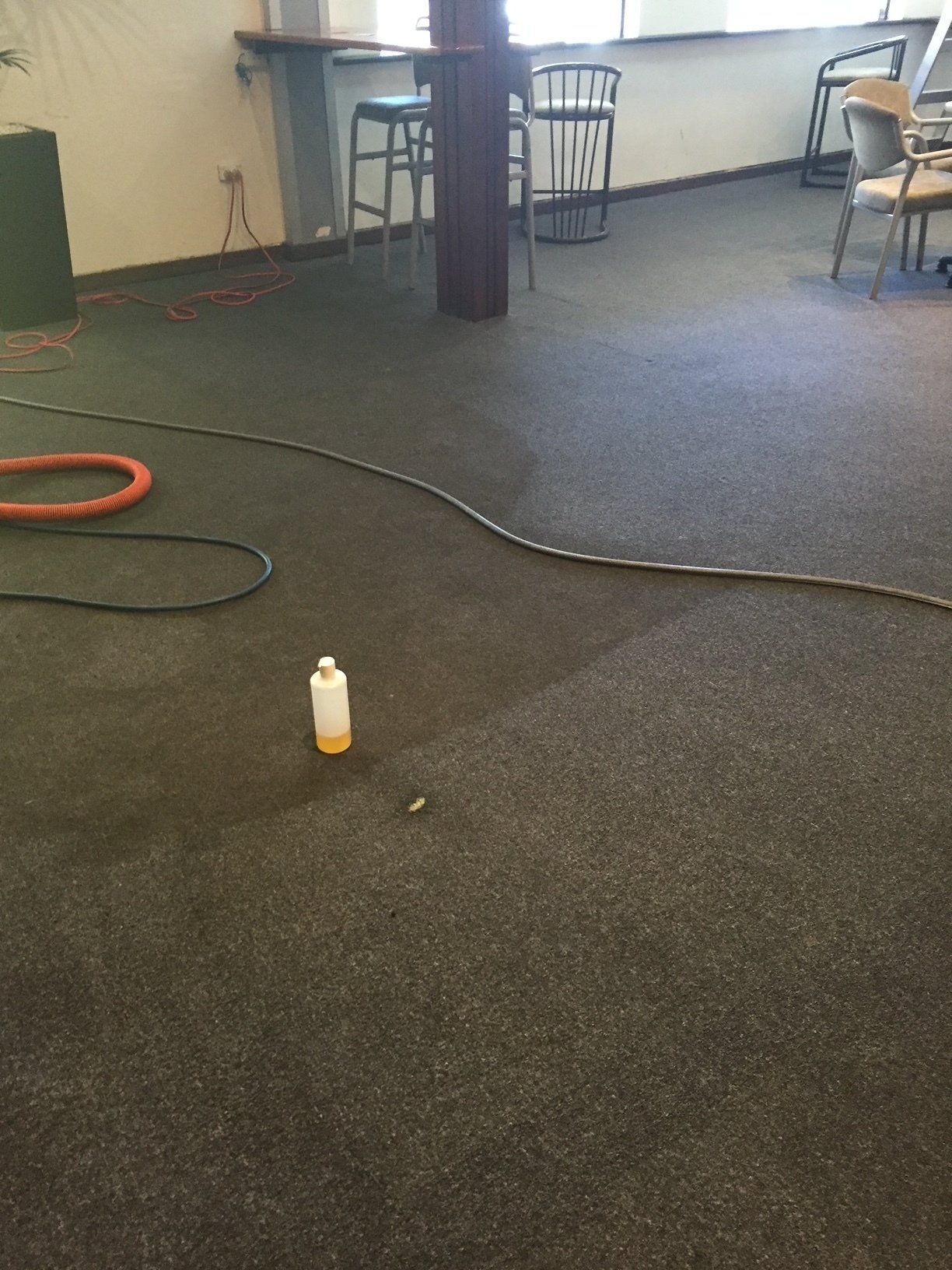 Carpet Cleaning — Enviro Clean Carpet and Tile Cleaning in Woy Woy, NSW