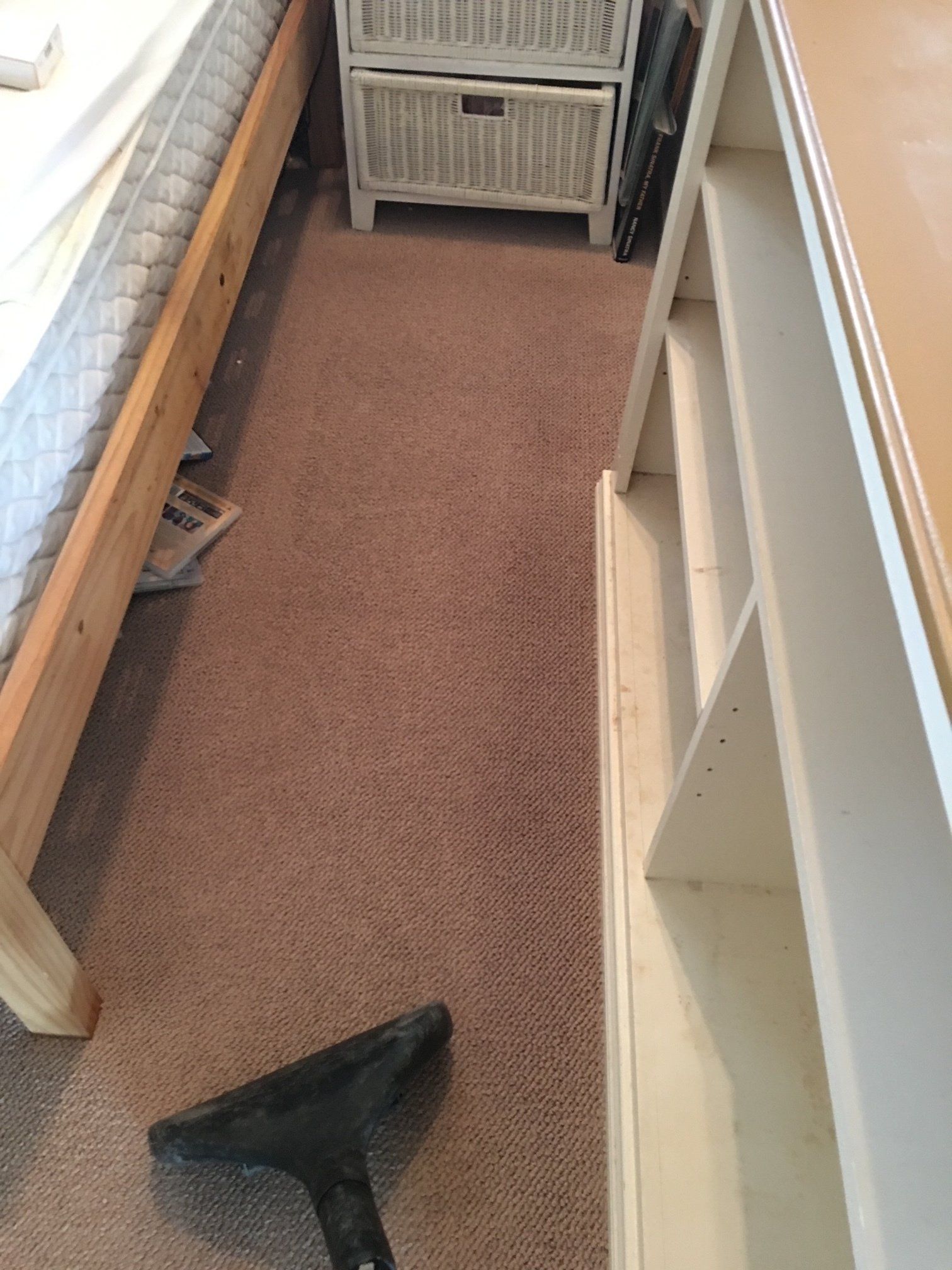 Cleaning a Carpet — Enviro Clean Carpet and Tile Cleaning in Woy Woy, NSW