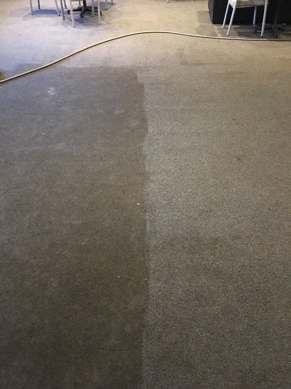Half of a carpet cleaned, revealing its original gray color next to the dirty section — Enviro Clean Carpet and Tile Cleaning in Budgewoi, NSW