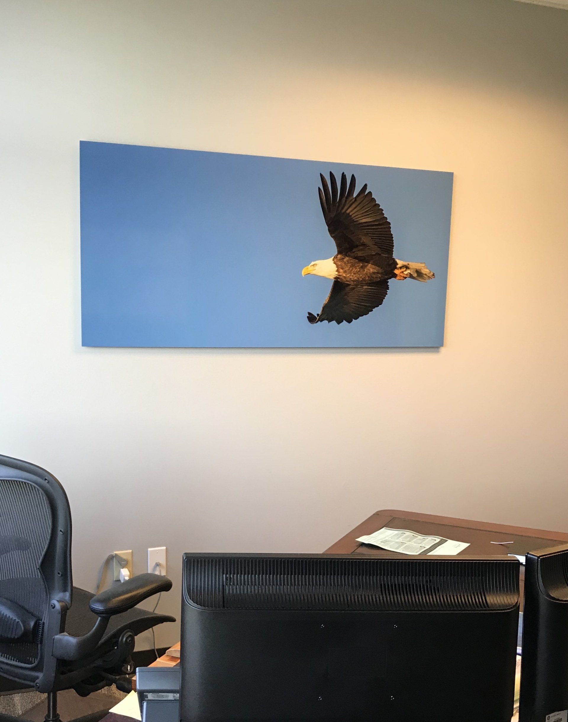 A picture of an eagle is hanging on a wall in an office