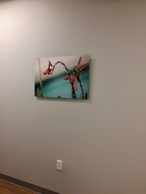 A painting of flowers is hanging on a wall